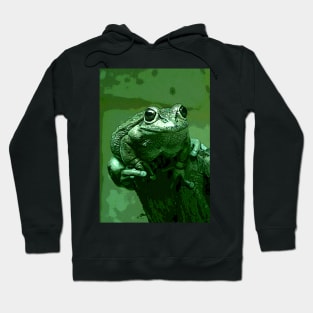 Little Green Frog Hoodie